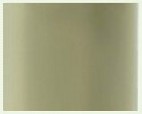 250-Nude Pintado - 12319  250-Nude Pintado